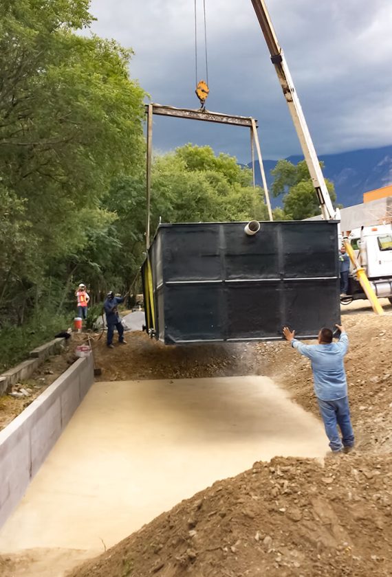 -mntaje ptar rayados 2